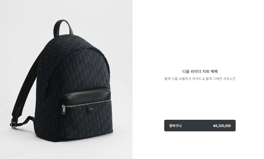 디올 라이더 지퍼 백팩 블랙