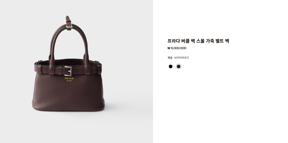 프라다 버클 백 스몰 가죽 벨트 백 브라이어우드