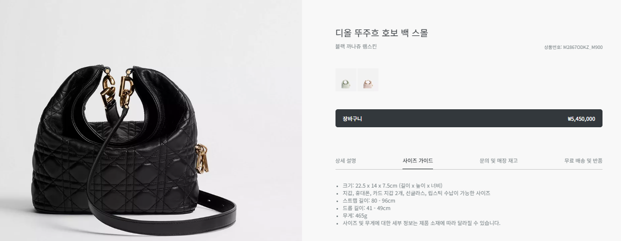디올 뚜즈흐 호보 백 스몰 블랙
