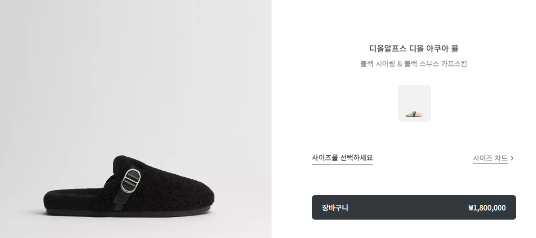디올 알프스 아쿠아 뮬 블랙