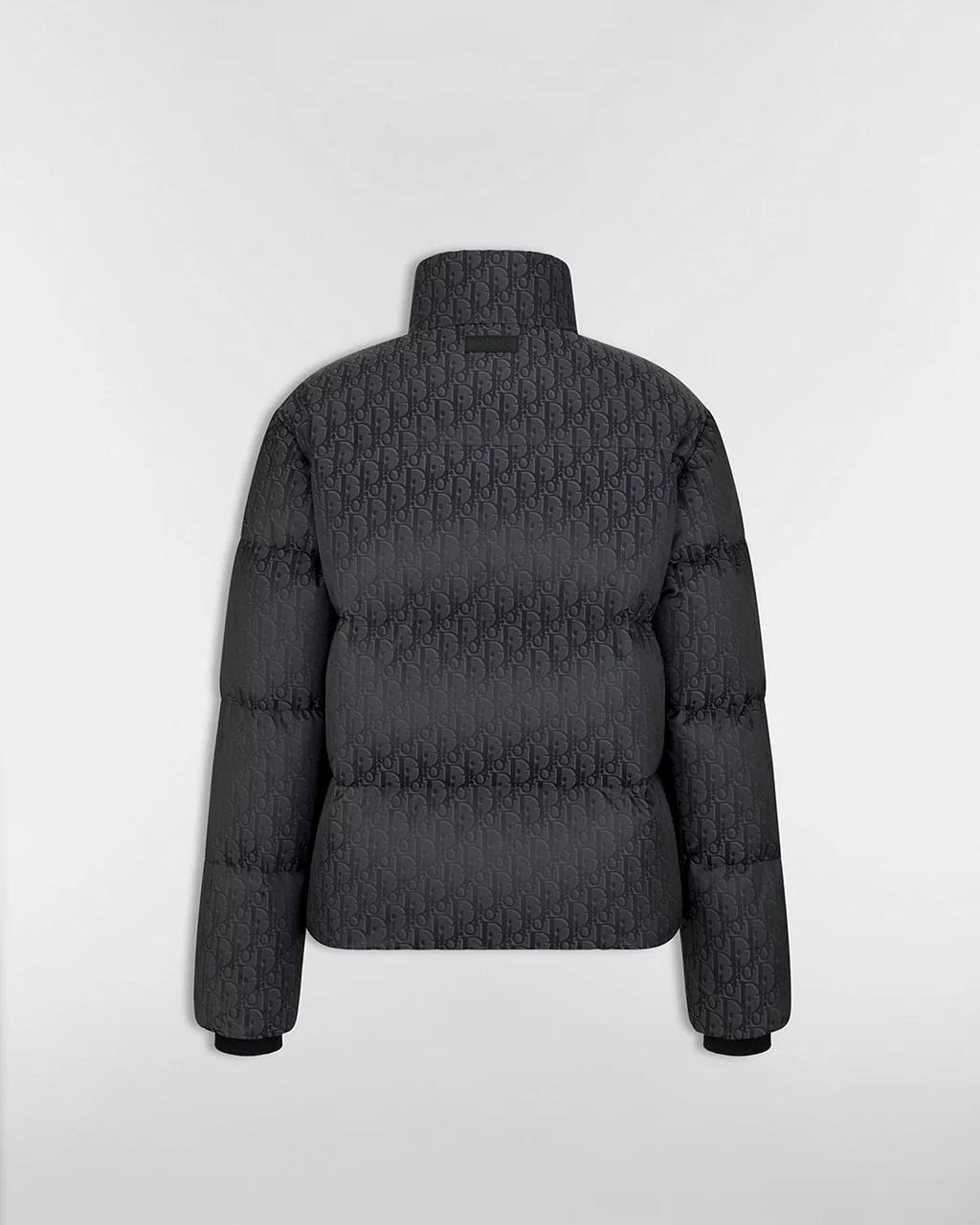 Dior Oblique 다운 재킷